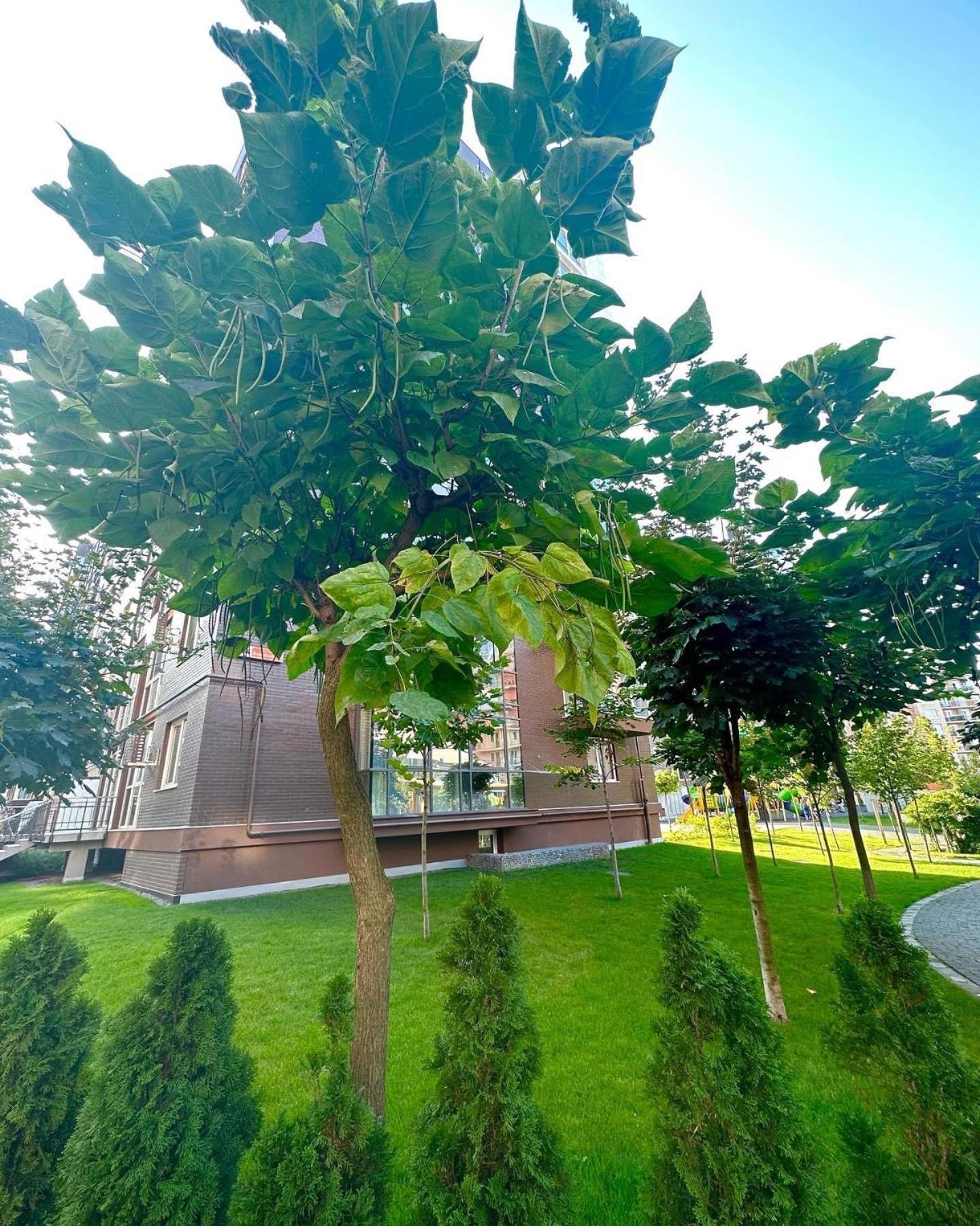 Vodogray Luxury Apartments With Underground Parking Елітний Житловий Комплекс TTchernivtsi Extérieur photo